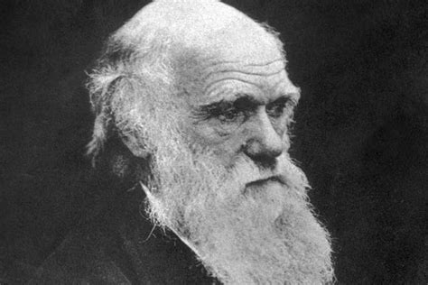 10 Things You May Not Know About Charles Darwin History