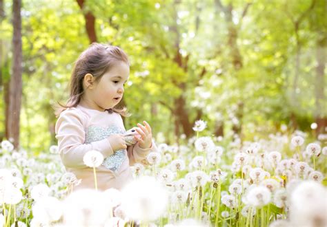 무료 이미지 자연 잔디 사람 소녀 태양 여자 사진술 목초지 민들레 햇빛 꽃 귀엽다 봄 녹색 어린이