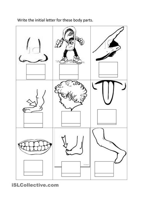 You can use our amazing online tool to color and edit the following my body coloring pages preschool. Body Parts Coloring Pages For Preschool at GetDrawings ...