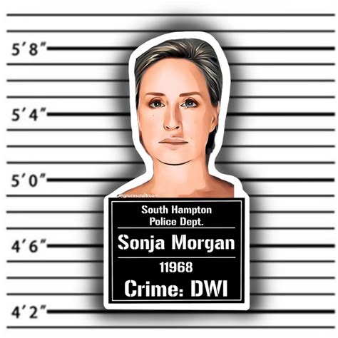 Sonja Morgan Mugshot Sticker South Hampton Sonja Morgan Crime Police Mug Shots Craft Room