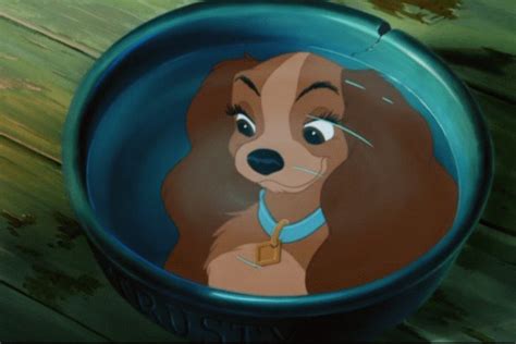 Lady And The Tramp Disneys Lady And The Tramp Image 9523926 Fanpop