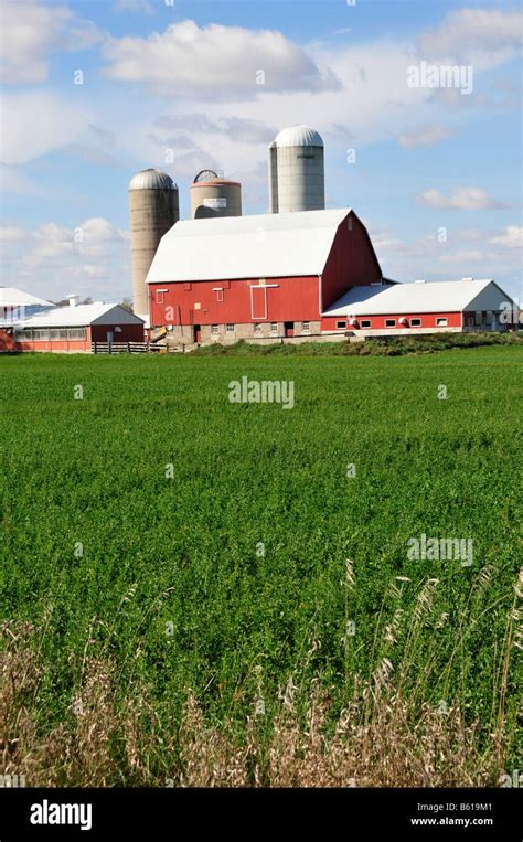 Red Barn In Southeast Minnesota Stock Photo Alamy