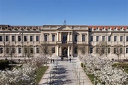 FRANCE: Avignon Université • International Week • Freie Universität Berlin