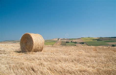 Hay Straw On Rural Field With Clear Blue Sky Stock Image Image Of