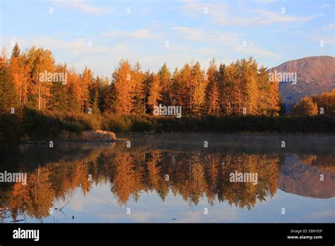 Chugach Landscape Hi Res Stock Photography And Images Alamy