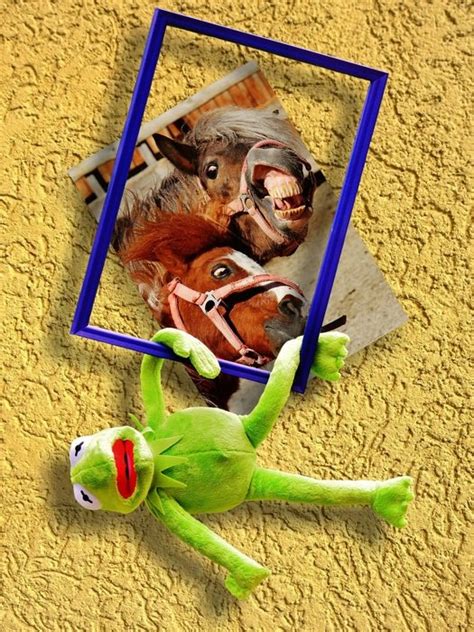 Picture Frame With Kermit Free Image Download