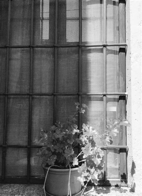 Black And White Sunday Windows Una Vista Di San Fermo