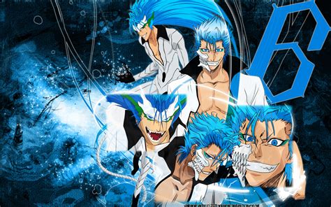 Give your home a bold look this year! Bleach Wallpaper: Grimmjow Vector Wallpaper - Minitokyo