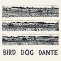 John Parish: BIRD DOG DANTE Review - MusicCritic