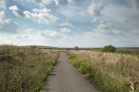 Footpath Through Fields England Stock Photo Image Of Idyllic