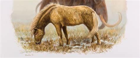 Yukon Horse And Woolly Mammoth By George Rinaldo Teichmann Horses