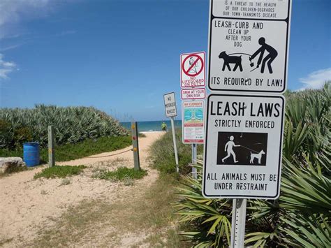 Highland beach, florida pet friendly condos are one of a kind. Dog Friendly beaches in Florida - Lucy Tobias