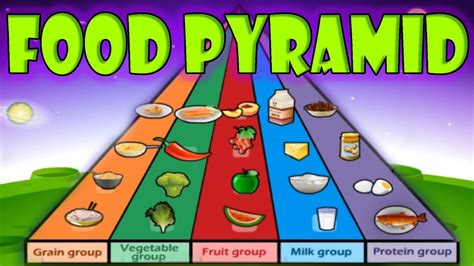 Nutrition Food Pyramid Healthy Eating Educational Videos For Kids