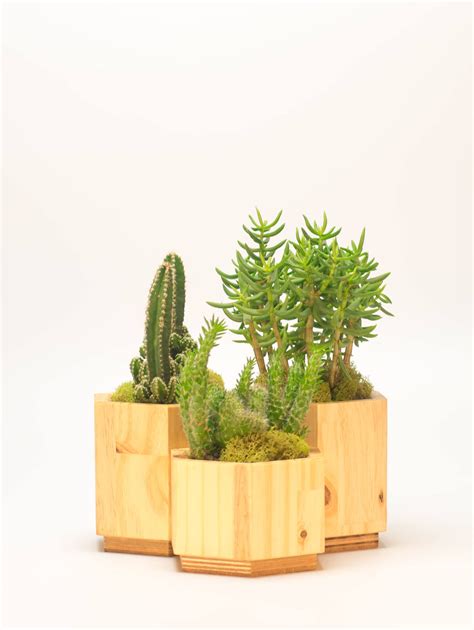 Hexagonal Planter Set Handmade From Sustainable Pine Wood And