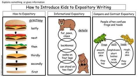 How To Introduce Kids To Expository Writing Explains Something Or