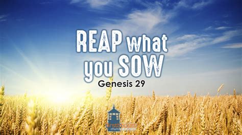 But, oh, well.you reap what you sow, especially about you. Reap what you Sow — First Baptist Church Dunkirk