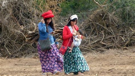 Wichis Historia Ubicación Costumbre Y Mucho Mas