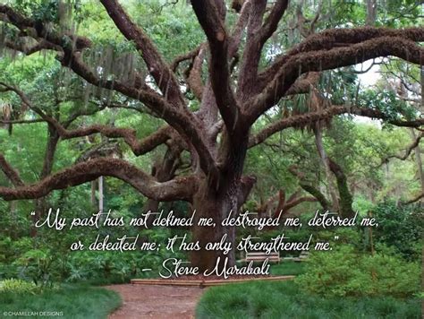 30 Top Tree Quotes Sayings Proverbs Photos And Images Picsmine