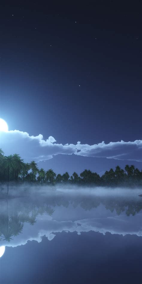 Full Moon Reflection Cold Night Tropical Starry Sky 1080x2160