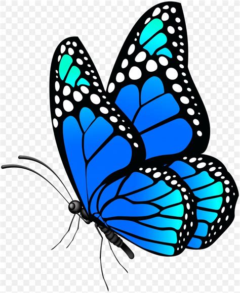 Monarch Butterfly Menelaus Blue Morpho Clip Art Png X Px Monarch Butterfly Artwork