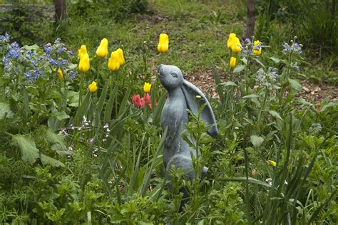 Garden Photo Of The Week Nanci Kerbys Incredible Bunny Garden In Napa