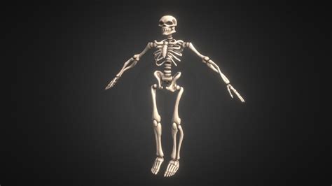 Stylized Skeleton Game Character Download Free 3d Model By