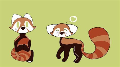 Red Pandas Wiki Furry Amino