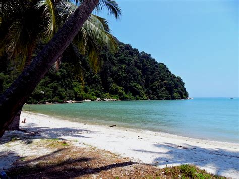 Penang national park gives you the opportunity to do some relatively easy hiking through the lush green jungle and visit both turtle beach and monkey beach. Taman Negara Pulau Pinang ~ You & i Homestay