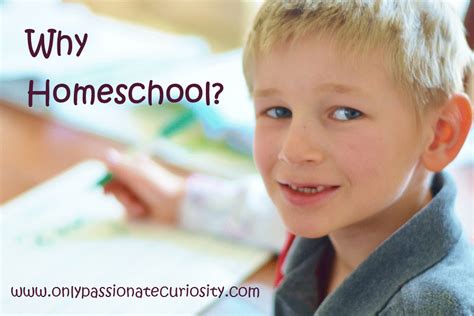Wait You Homeschool Your Kids Why Via Only Passionate Curiosity