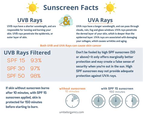 Natural Sunscreen Guide Part 1 Umbel Organics Umbel Organics