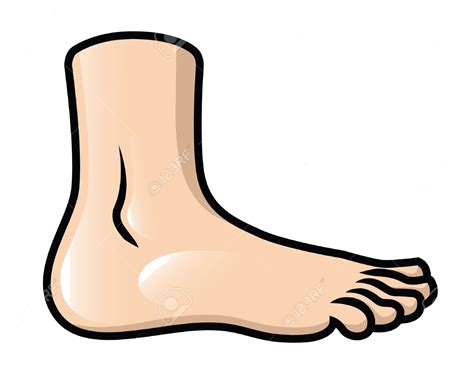Foot Clipart Body Part Foot Body Part Transparent Free For Download On