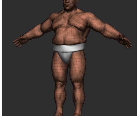 artstation fat guy base mesh styized realistic zbrush e honda sumô resources