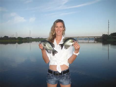 Best Live Bait For Crappie Fishing Siesta Key Fishing Charters