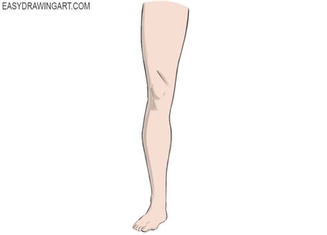 How To Draw Legs Easy Drawing Art Drawings Easy Drawings Basic