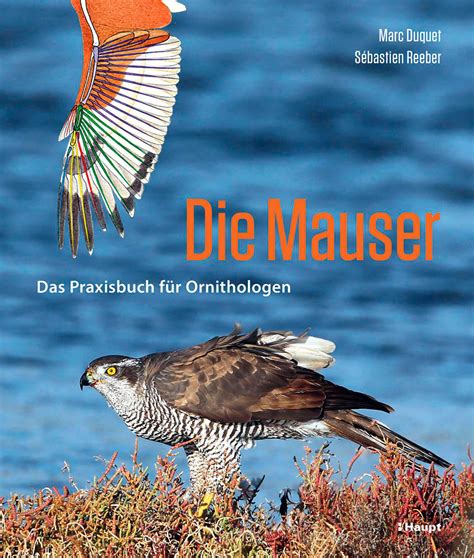 Mauser Niedersächsischer Jäger 6 2021