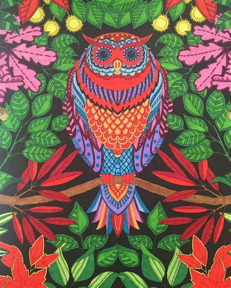 Coloring pages of jesus praying in the garden. Johanna Basford Secret Garden Owl using Bic Markers ...
