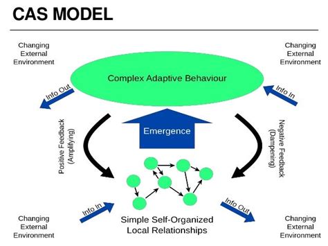 Viewing The Organization As A Complex Adaptive System An Approach T