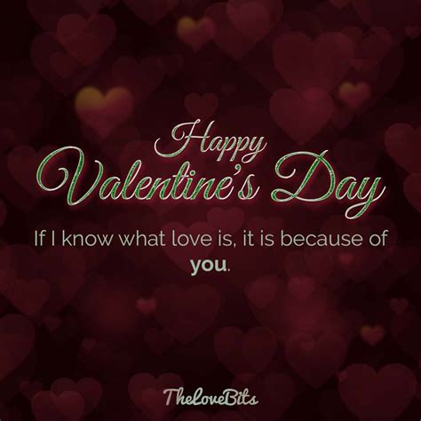 50 Valentines Day Quotes For Your Loved Ones Thelovebits