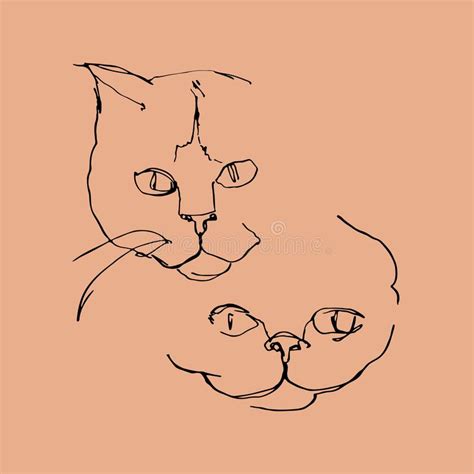 Line Drawing Two Cats Stock Illustrations 266 Line Drawing Two Cats