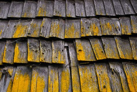 Shed Cabin Material Textures Old Barns Shelter Roof Tops Tiles