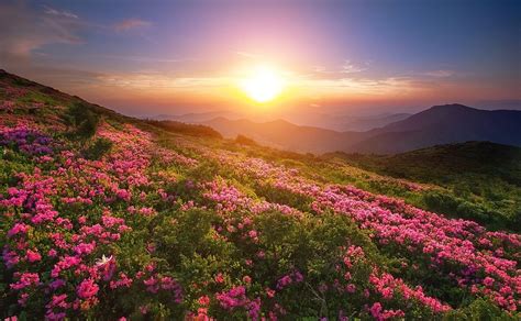 Juliane Olsen City Of Flowers Mountain View Roan Mountain Sunset
