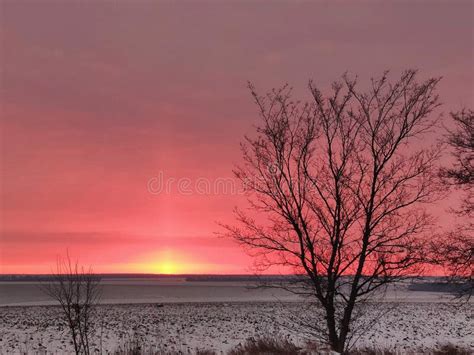 Sunrise On A Winter Morning Stock Photo Image Of Forest Branch 42134020