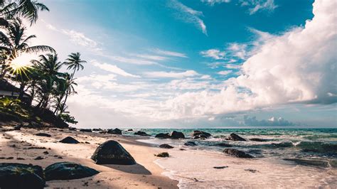 Download Sunny Day Coast Beach Sea Tropical Wallpaper