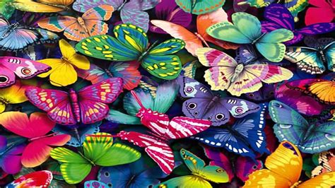 Butterfly Wallpaper Fantastic Hd Youtube