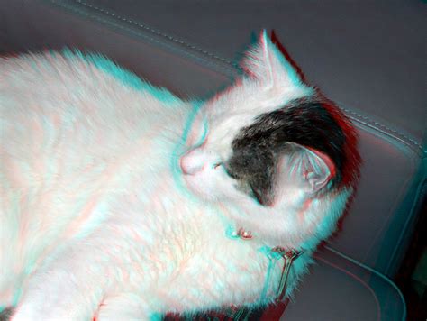 Patch 3d Cat Anaglyph Stereo Redcyan Wim Hoppenbrouwers Flickr
