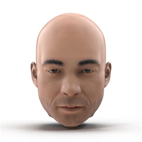 3d Male Head Rigged Model