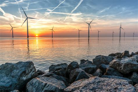 D66 Large — Klimaat Natuur En Milieu Standpunten