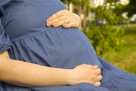 beautiful pregnant girl sitting in the park sunlight stock image