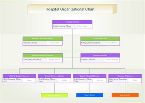 Organizational Chart For Hospital