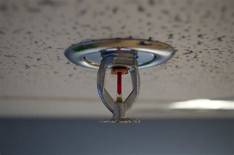Moldfixer The Importance Of A Fire Sprinkler System